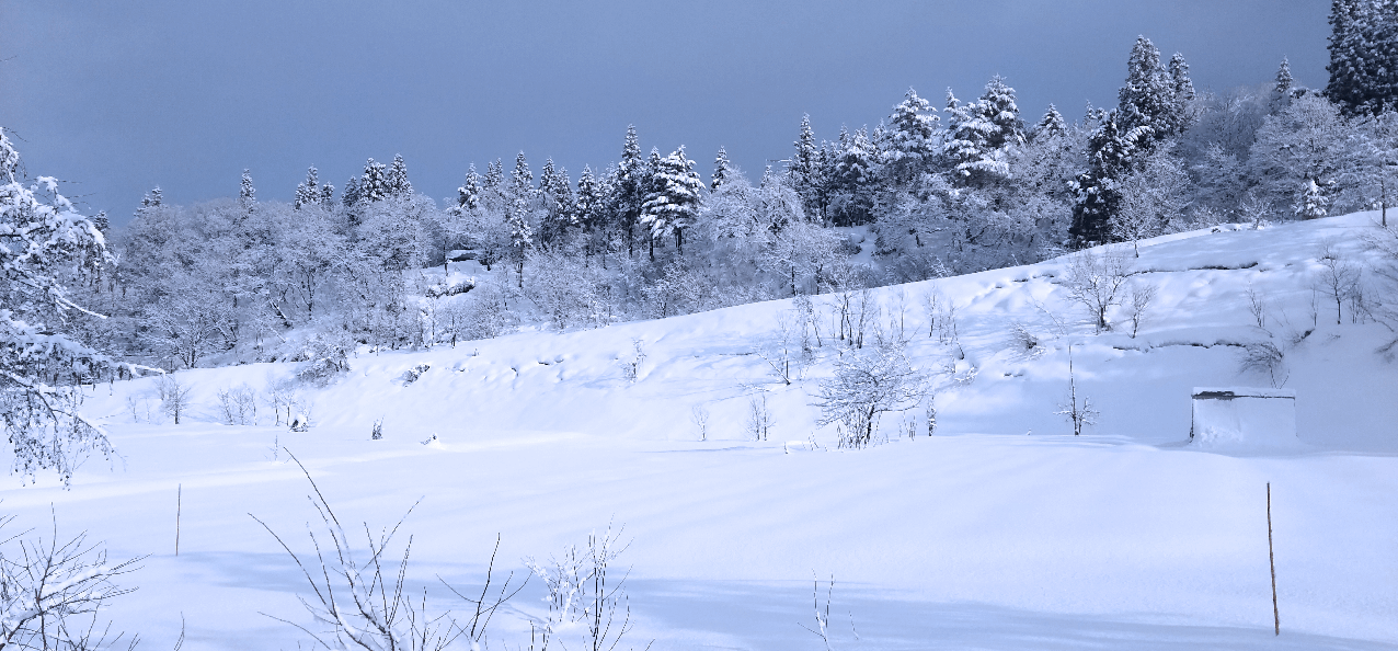 雪ふる里物語の写真