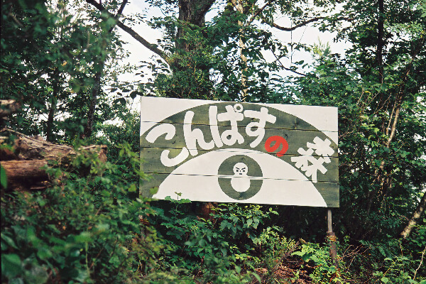 こんぱすの森づくりの写真