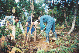 桜の丘公園づくりの写真2